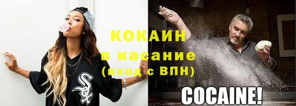 стафф Богородск