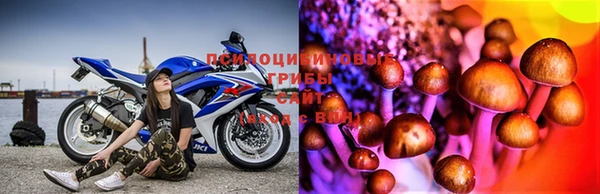 бошки Богородицк